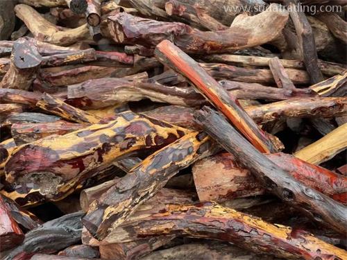 瀕危野生動植物及其產品進出口小知識 瀕危野生動植物及其產品進出口小知識