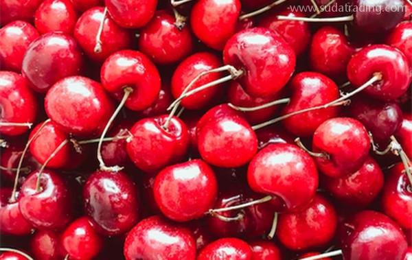 巴基斯坦櫻桃進(jìn)口報關(guān)所需資料以及進(jìn)口流程 巴基斯坦櫻桃進(jìn)口報關(guān)所需資料以及進(jìn)口流程