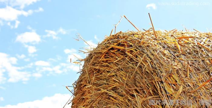 關(guān)于動(dòng)物飼料進(jìn)口報(bào)關(guān)流程手續(xù)的這8點(diǎn) 關(guān)于動(dòng)物飼料進(jìn)口報(bào)關(guān)流程手續(xù)的這8點(diǎn)