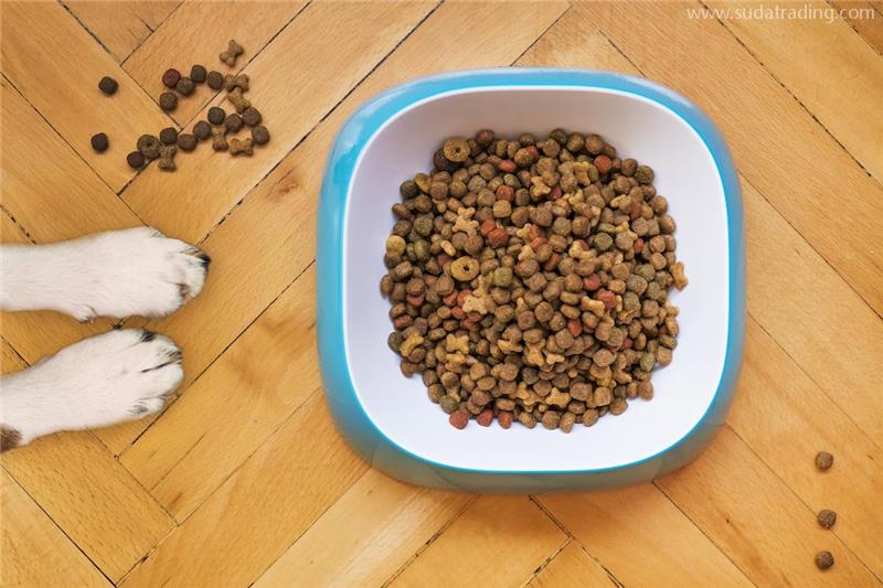 泰國寵物食品報關公司寵物食品報關申報準入要求 泰國寵物食品報關公司寵物食品報關申報準入要求