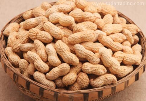 花生進口報關操作流程 花生進口報關操作流程