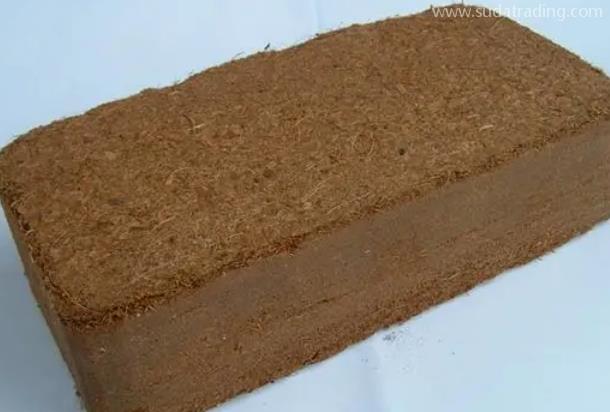 椰糠進(jìn)口報關(guān)清關(guān)單證資料及注意事項 椰糠進(jìn)口報關(guān)清關(guān)單證資料及注意事項