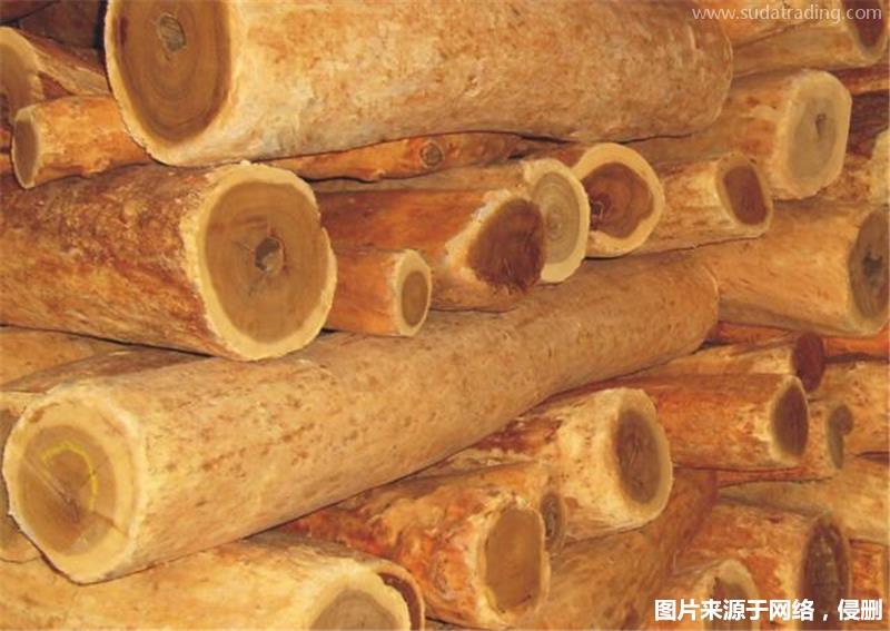 進口印度檀香木報關的流程瀕危木材報關代理資料 進口印度檀香木報關的流程瀕危木材報關代理資料