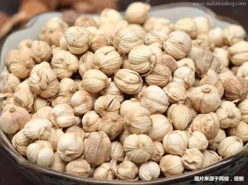 進口老撾豆蔻報關流程進口藥材豆蔻基本流程手續 進口老撾豆蔻報關流程進口藥材豆蔻基本流程手續