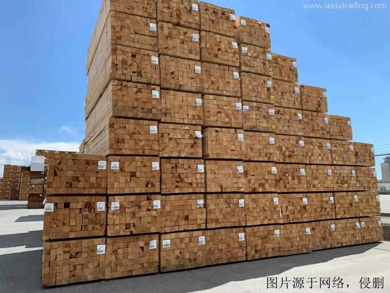 白俄羅斯進(jìn)口報(bào)關(guān)公司哪家好?白俄羅斯木材清關(guān)流程 白俄羅斯進(jìn)口報(bào)關(guān)公司哪家好?白俄羅斯木材清關(guān)流程