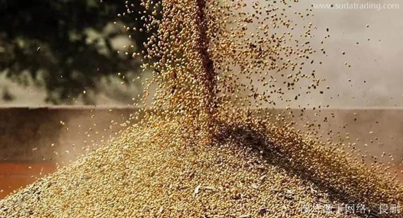 俄羅斯菜籽粕進口報關資料天津菜籽粕飼料清關費用 俄羅斯菜籽粕進口報關資料天津菜籽粕飼料清關費用