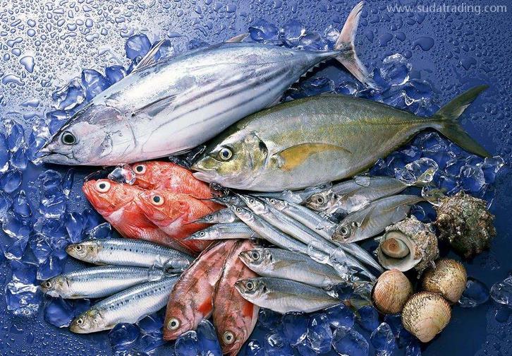 福州海鮮進口清關公司哪家好福建水產品進口報關行 福州海鮮進口清關公司哪家好福建水產品進口報關行