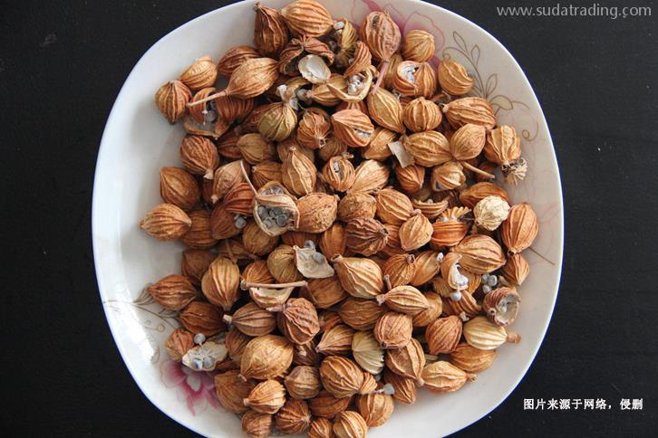 德國豆蔻進口報關流程香料豆蔻進口準入國家 德國豆蔻進口報關流程香料豆蔻進口準入國家