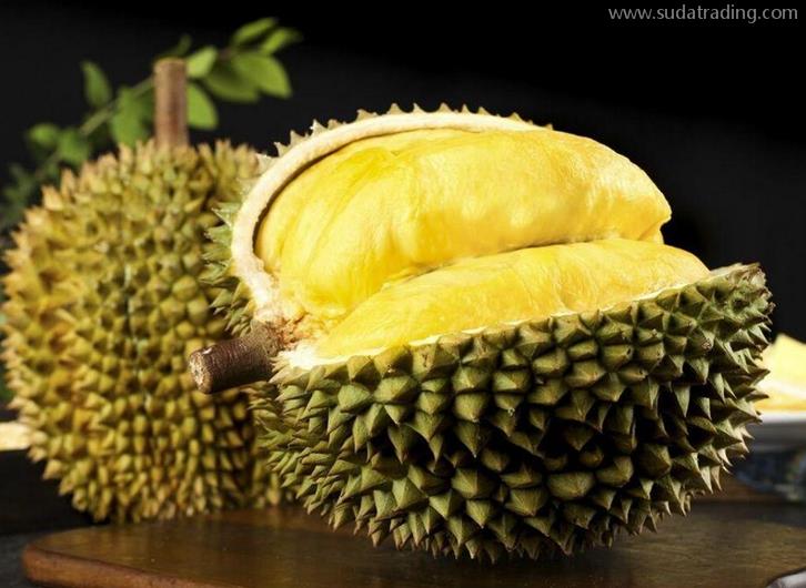 上海進口菲律賓榴蓮報關資料-19年新鮮水果報關行 上海進口菲律賓榴蓮報關資料-19年新鮮水果報關行