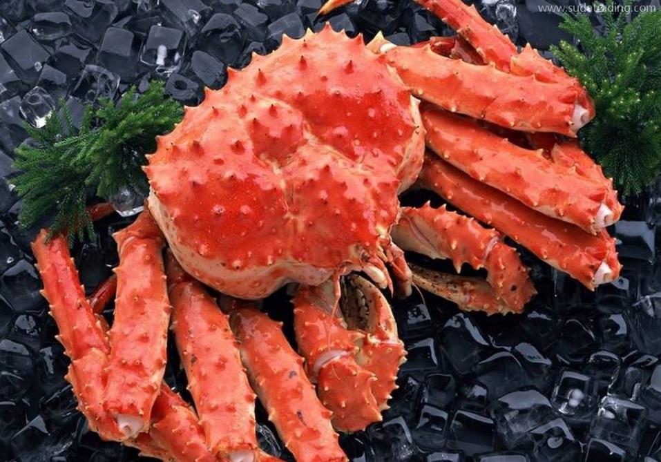 帶你了解帝王蟹的進(jìn)口之旅 帶你了解帝王蟹的進(jìn)口之旅