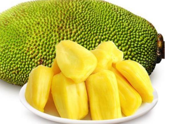 菠蘿蜜進(jìn)口報(bào)關(guān)知識(shí) 菠蘿蜜進(jìn)口報(bào)關(guān)知識(shí)