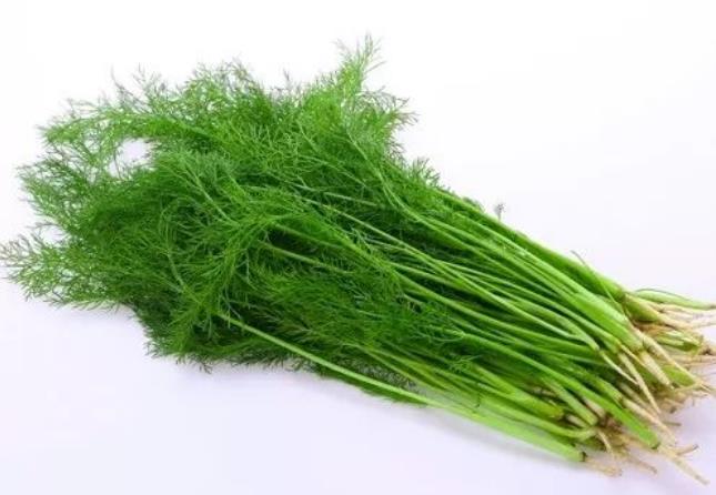 茴香進口報關清關流程 茴香進口報關清關流程