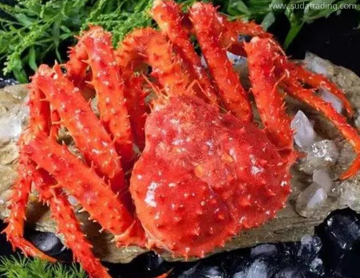 帝王蟹進口報關清關流程詳解 帝王蟹進口報關清關流程詳解