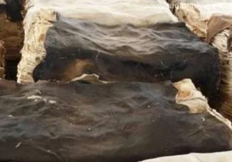 鹽濕牛皮進(jìn)口報(bào)關(guān)清關(guān)流程 鹽濕牛皮進(jìn)口報(bào)關(guān)清關(guān)流程