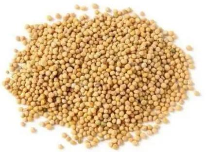 芥子進口報關清關流程詳解 芥子進口報關清關流程詳解