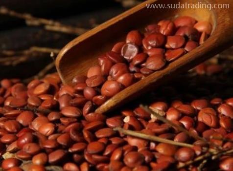 酸棗仁進(jìn)口報(bào)關(guān)清關(guān)流程詳解 酸棗仁進(jìn)口報(bào)關(guān)清關(guān)流程詳解