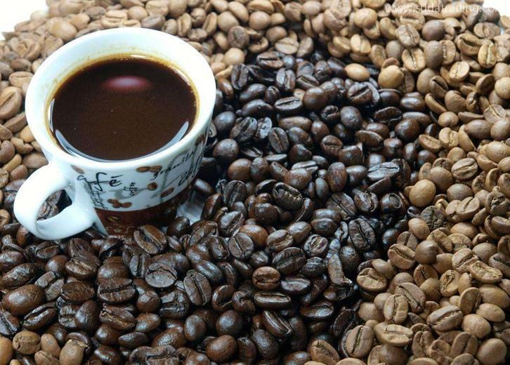 印尼咖啡豆進(jìn)口報(bào)關(guān)流程印尼咖啡豆海運(yùn)清關(guān)費(fèi)用 印尼咖啡豆進(jìn)口報(bào)關(guān)流程印尼咖啡豆海運(yùn)清關(guān)費(fèi)用