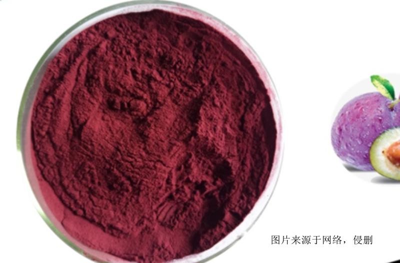 智利西梅果粉進(jìn)口報關(guān)資料-20年廣州食品原料報關(guān)行 智利西梅果粉進(jìn)口報關(guān)資料-20年廣州食品原料報關(guān)行