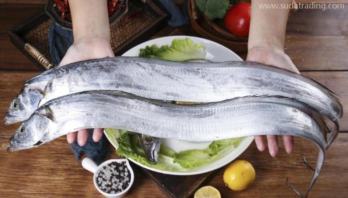 【進(jìn)口知識】一文帶你了解帶魚