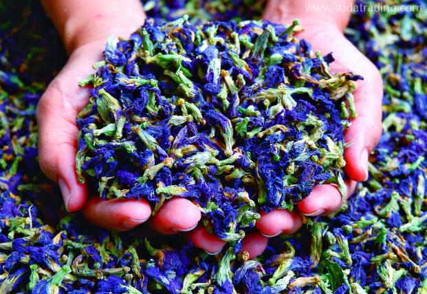 蝶豆花進(jìn)口清關(guān)知識(shí)及相關(guān)流程要素 蝶豆花進(jìn)口清關(guān)知識(shí)及相關(guān)流程要素