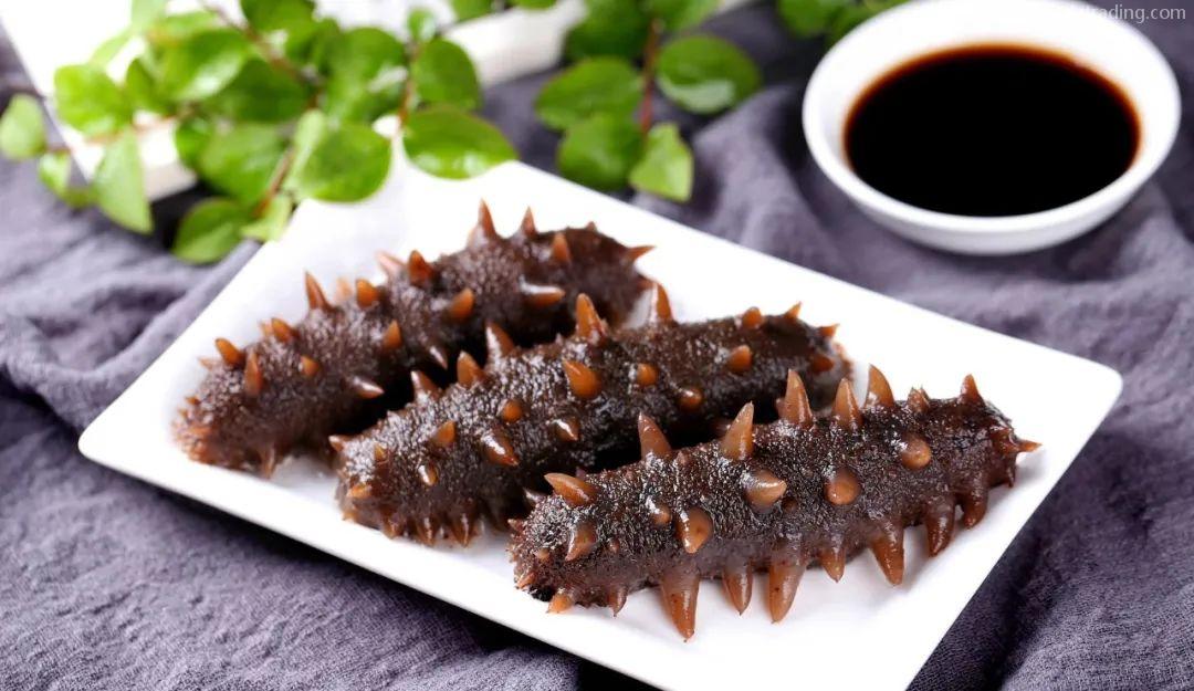 【進口指南】食品海參進口流程(內附詳請) 【進口指南】食品海參進口流程(內附詳請)