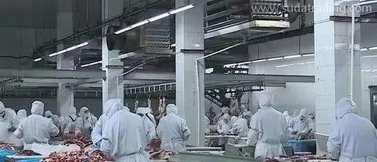 【進口知識】進口俄羅斯牛肉檢驗檢疫和衛生要求 【進口知識】進口俄羅斯牛肉檢驗檢疫和衛生要求