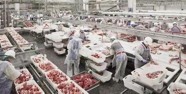 【進口知識】進口俄羅斯牛肉檢驗檢疫和衛生要求 【進口知識】進口俄羅斯牛肉檢驗檢疫和衛生要求