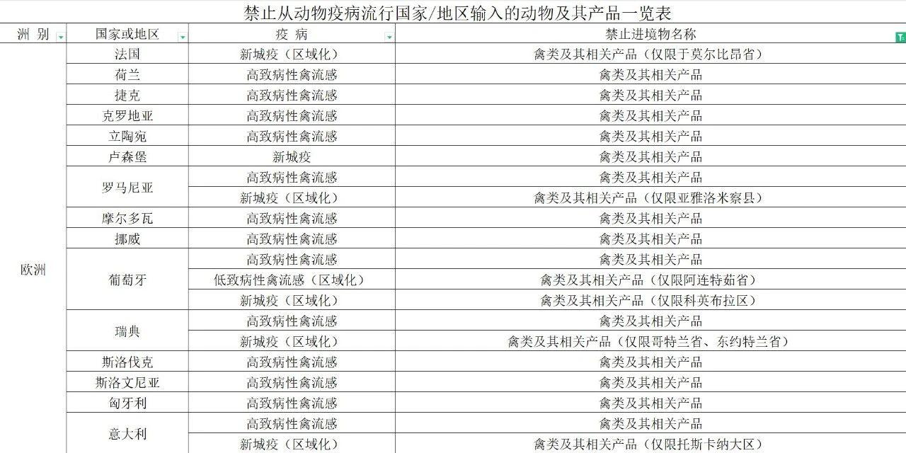 【進口知識】帶你了解進口雞類產品的世界 【進口知識】帶你了解進口雞類產品的世界