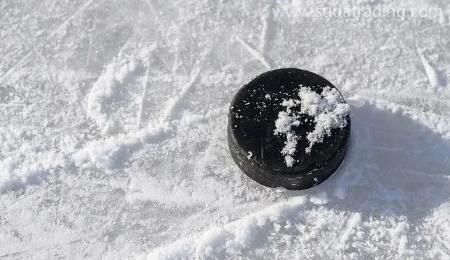 【進口知識】冰雪運動器械的歸類“密碼” 【進口知識】冰雪運動器械的歸類“密碼”